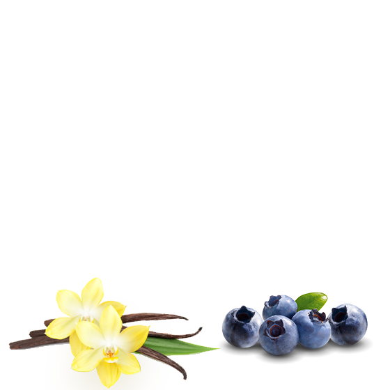 Blueberry & vanilla