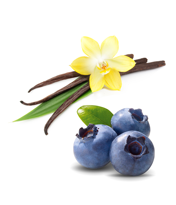 Blueberry & vanilla